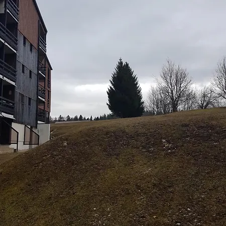 Renove, Calme Avec Terrasse S-o, Prestations De Qualite - Les Adraits